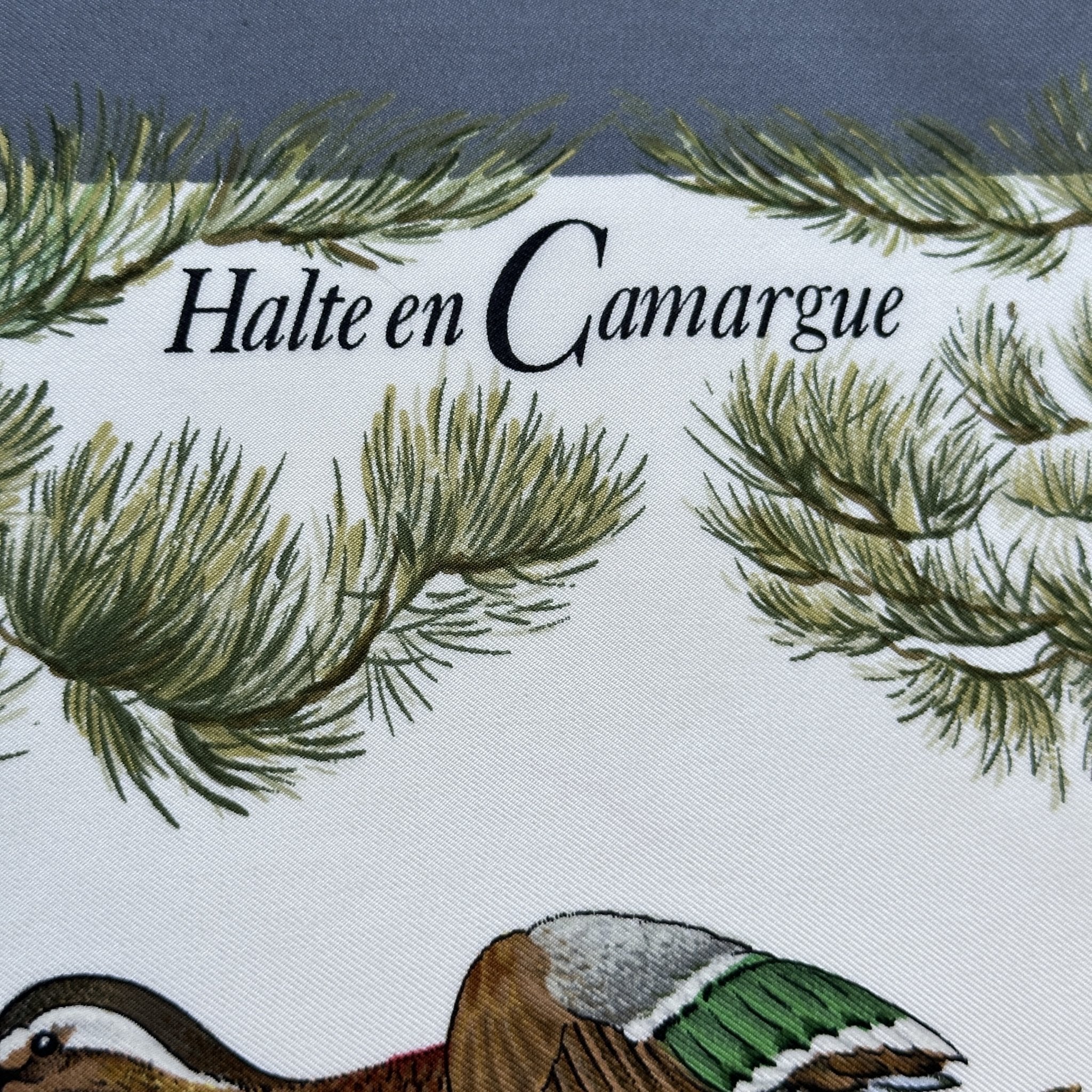 Stop in the Camargue - HERMES SCARF 90 CM