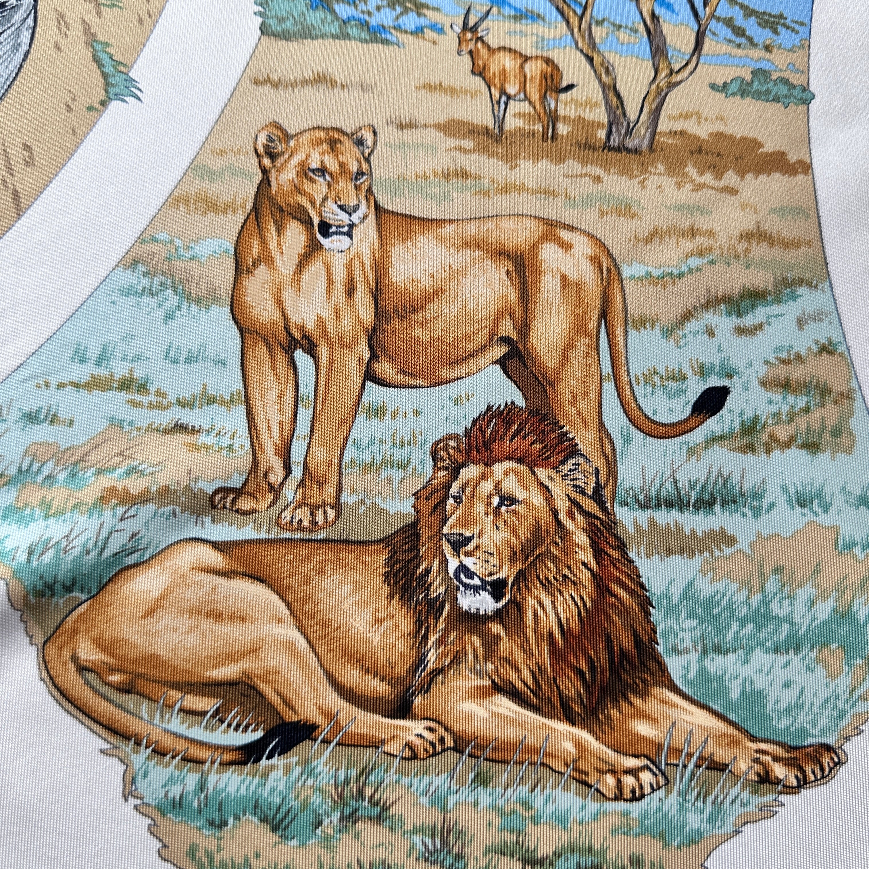 Illustration réaliste de lions