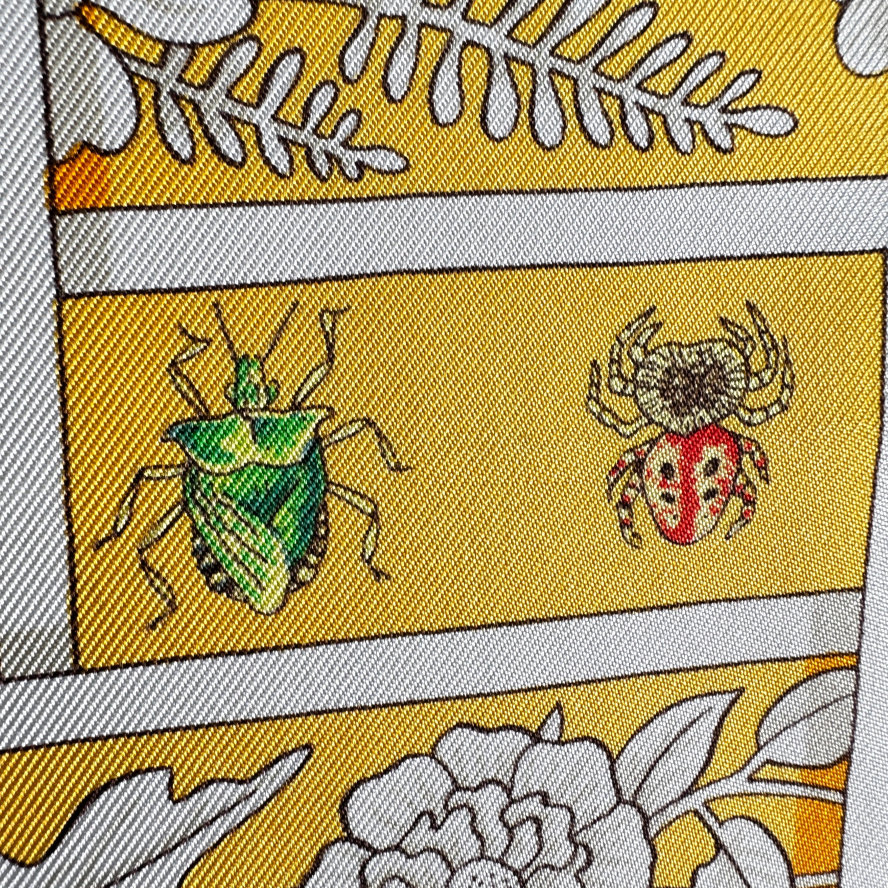 détail dessins précis de charançons et altises